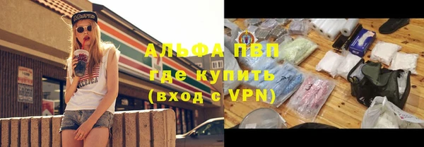 индика Абинск