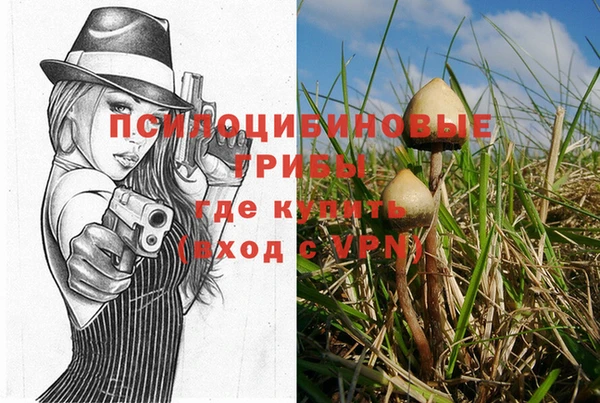 индика Абинск