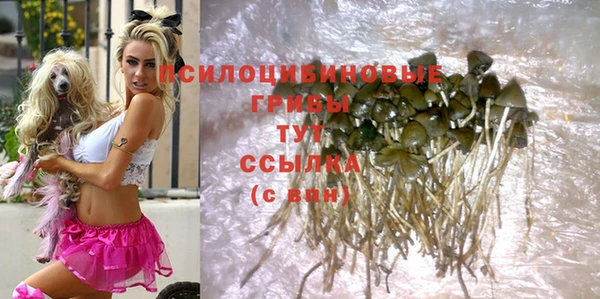 индика Абинск